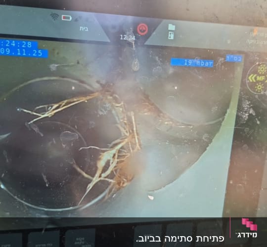 מסך תצוגה של מצלמה עם שורשים בצינור